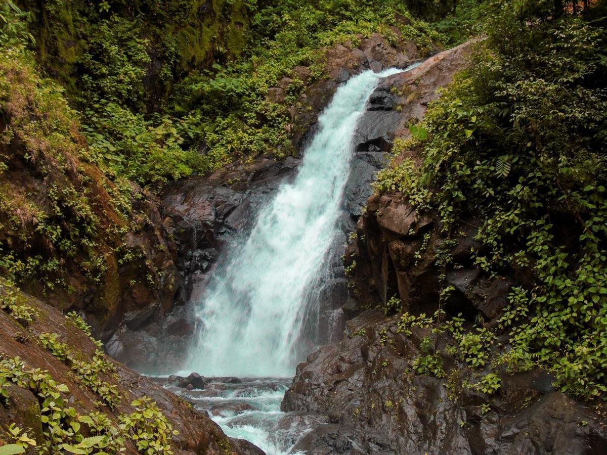 Cataratas Bijagua Lodge, Incluye Tour Autoguiado Bijagua Waterfalls Hike Ngoại thất bức ảnh