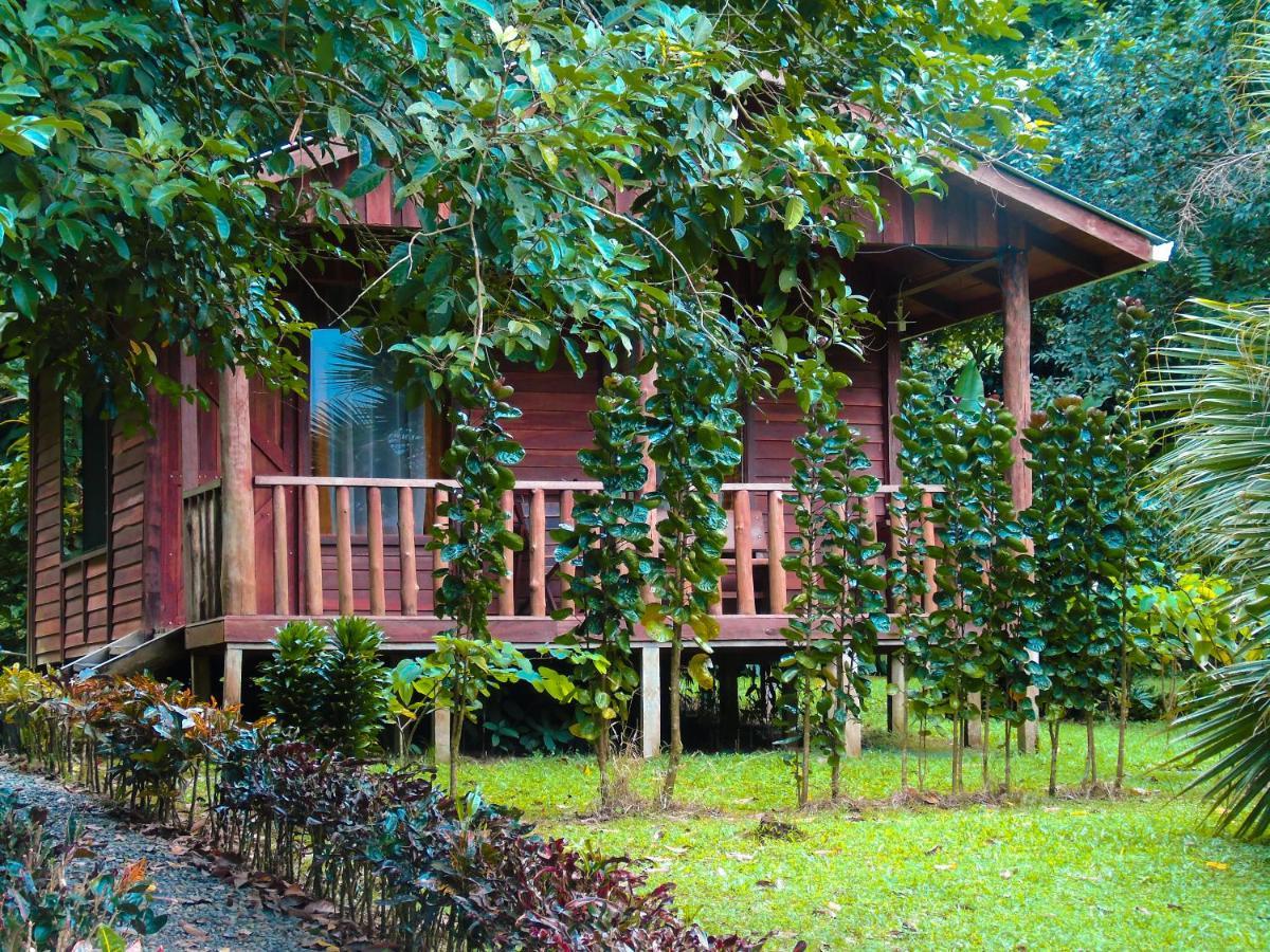 Cataratas Bijagua Lodge, Incluye Tour Autoguiado Bijagua Waterfalls Hike Ngoại thất bức ảnh