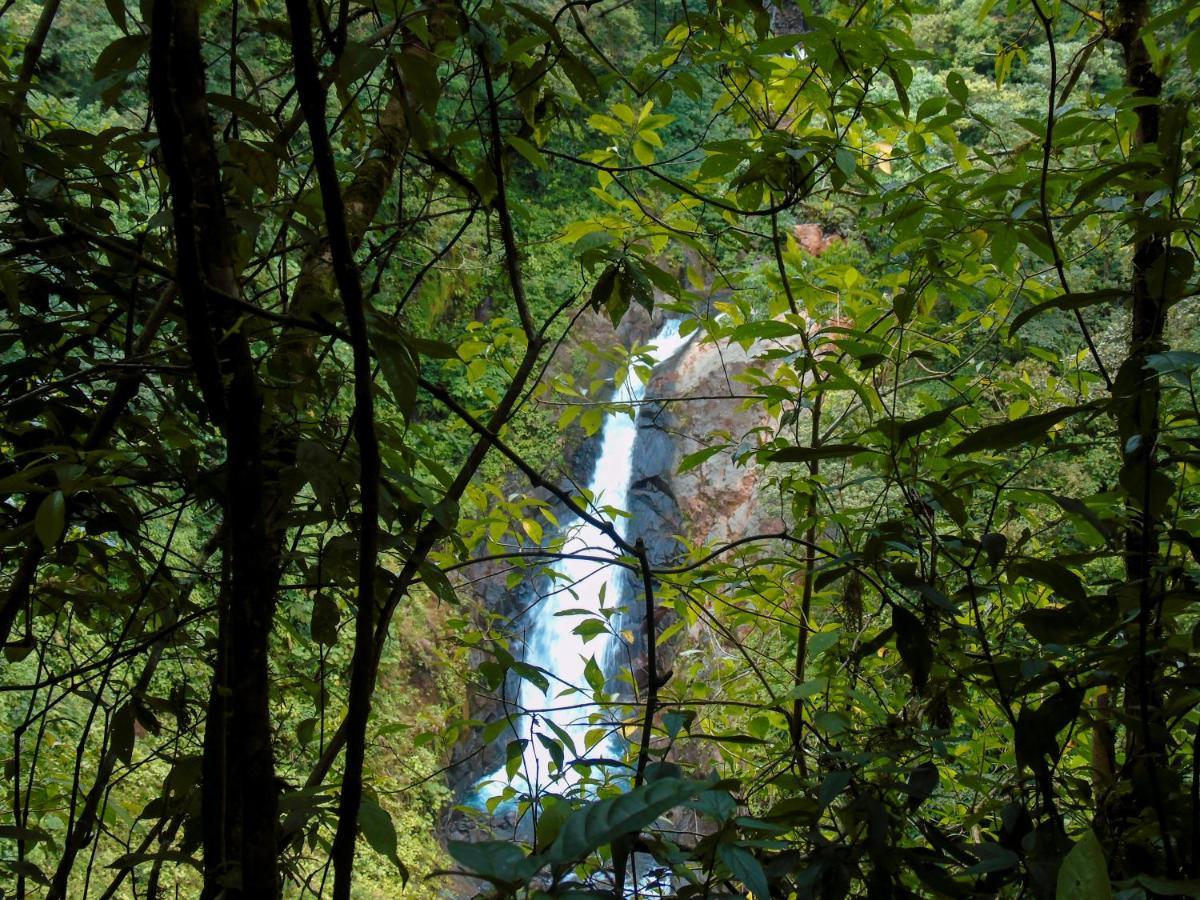 Cataratas Bijagua Lodge, Incluye Tour Autoguiado Bijagua Waterfalls Hike Ngoại thất bức ảnh