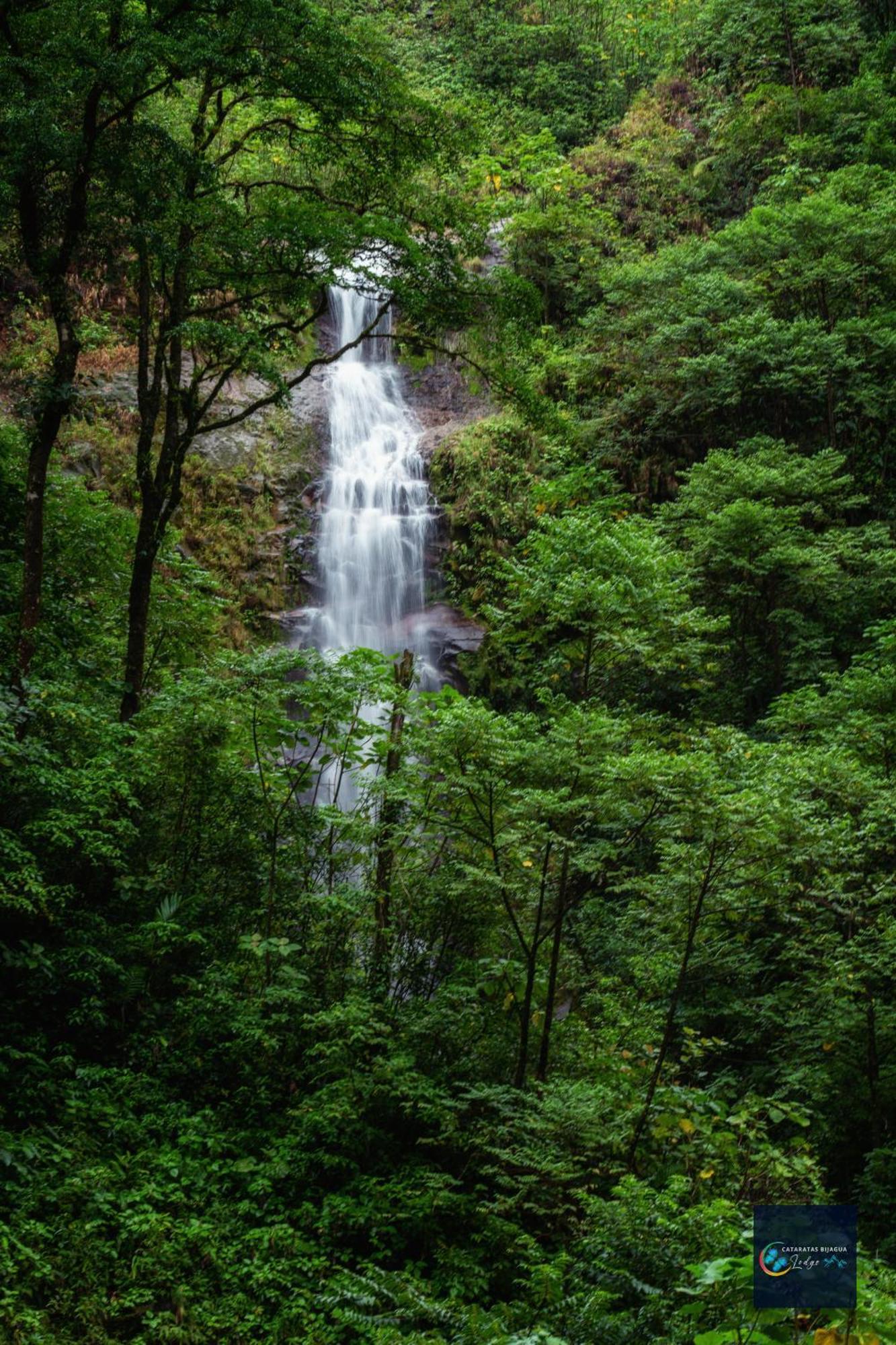 Cataratas Bijagua Lodge, Incluye Tour Autoguiado Bijagua Waterfalls Hike Ngoại thất bức ảnh